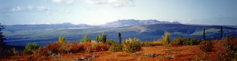 Tolovana Hot Springs